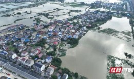 汨罗的最新爆料,揭秘背后惊人真相