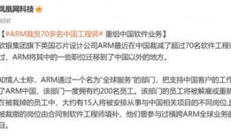 裁员最新爆料新闻报道稿,最新爆料揭露企业大规模减员真相